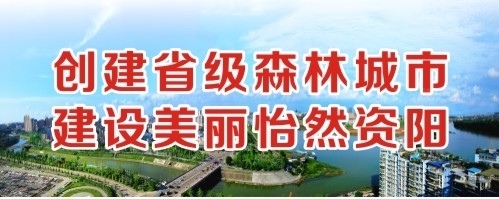 插逼嗯嗯不要视频创建省级森林城市 建设美丽怡然资阳